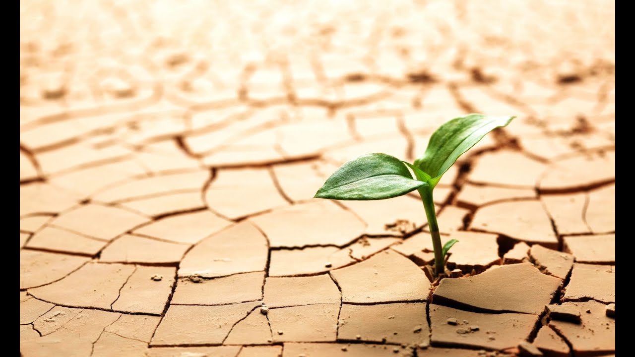Finding Hope and Healing in Christ