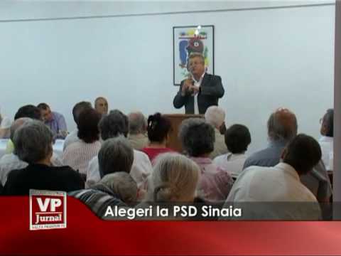 Alegeri la PSD Sinaia