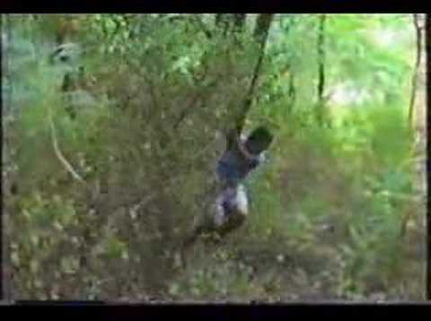 PREDATOR vs HARPERS FERRY Flashback ...