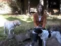 Safe Dog Safety Tip: Choking