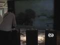 videos de Almanaque de perdas, fracassos e transformações