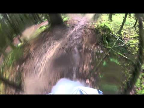 chain reaction cycles