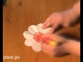 Laurka z Kwiatów