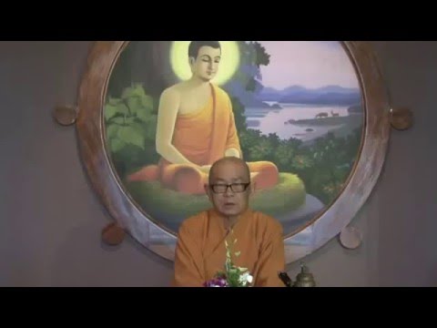 Y Chỉ Thâm Ân Y Chỉ Thâm Ân