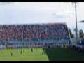 Palmeiras - Festa no Chiqueiro