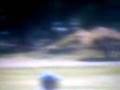videos de semifinal 400mts relevos esef