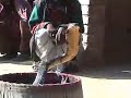 Revealing Secrets of the Banjara