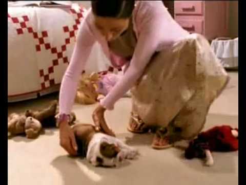 0 Against Dogs As Gifts, Pass it on