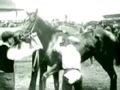 Man O' War