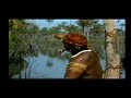 Luzes no Xingu