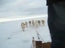 Slowing the sled down