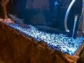 100 gal tank