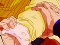 Dragon Ball Z - Squashed