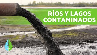 5 - Causas y consecuencias de la contaminación de lagos y ríos