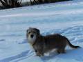 videos de Bild 045