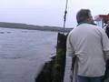 Eerste mosselen boven water