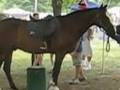 Twombly Publishing  films Halifax Mass. PONY RIDES JULY 4