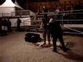 Buskers - Dub FX (live beatboxin) on Dam Square