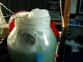 My hydrogen generator