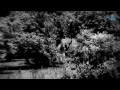 NEER VAZHI SCENE 14.mov