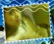 Akis World