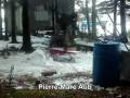 videos de back yard sesh.