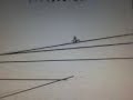 LineRider: Sk8 for the heavens!!