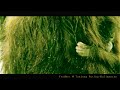 Click here to watch this video Save The OrangUtan ! - Kalimantan -