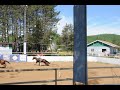 Festival Western St-rémi