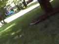videos de PULSE AIRSOFT GUN FASTEST OUT THERE!!!!!!!!!!!!!!2#$