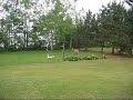Dog and Deer Play Dog and Deer Play