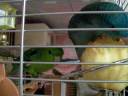 Bubi und Susi Bubi und Susi