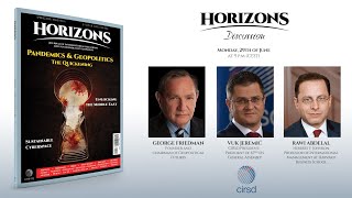 Friedman Abdelal and Jeremić  Horizons Discussion