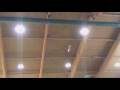 crazy_alex.wmv