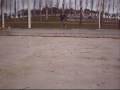 videos de patinando