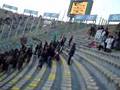 videos de bologna ternana
