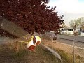 Fly Tech Hornet Attack!!