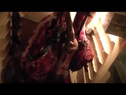 how to cure elk meat