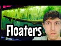 Floating Aquarium Plants With Long Roots