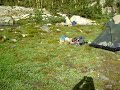 Shiba Inu and American Eskimo Hiking and pooped sleeping on my sleeping bag
