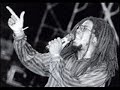Half Pint - Freedom Fighter