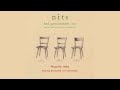 Nits Bad Government Video and Lyrics
