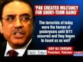Pakistan created and nurtured terrorists : Zardari