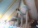 sgi diving