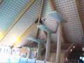 sgi diving