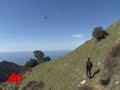 endangered-condors-rescued-from-path-of-wildfire.html