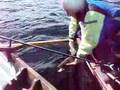 Releasing a big ferox trout from Lough Corrib in Ireland