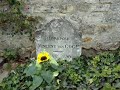 Cementerio Auvers Van Gogh Tumba