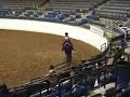 friesian amateur western pleasure class 2005