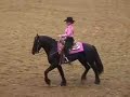 Friesian Amateur Western Pleasure Class 2005 Friesian Amateur Western Pleasure Class 2005
